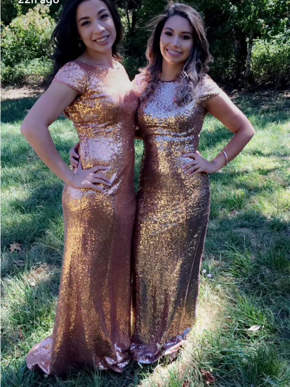 Sequin Cap Sleeve Gown in Metallic Bronze